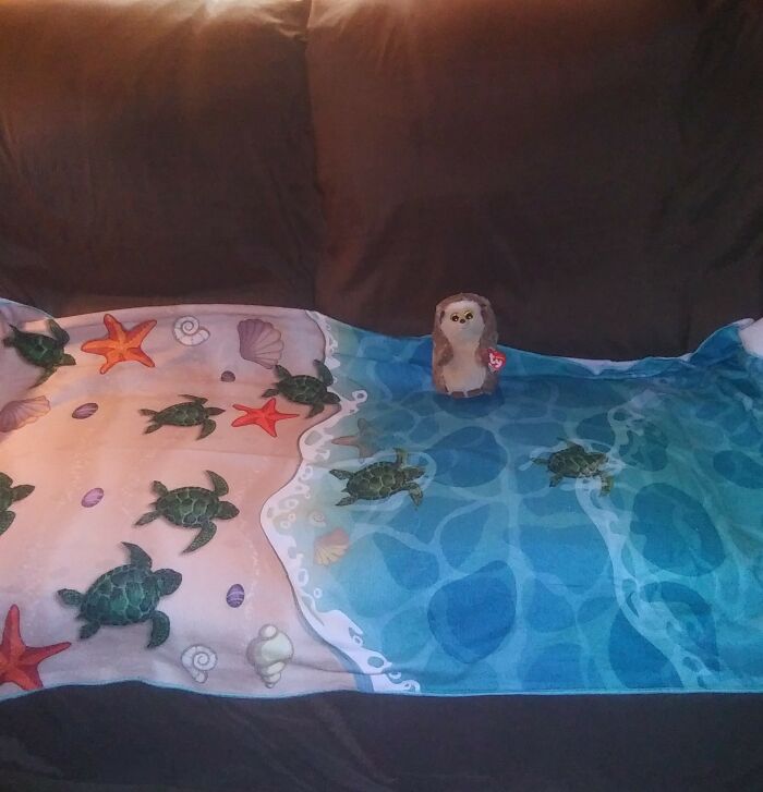 I bought 2 of these beach towels for my godsons, 2 boys.  The hedgehog plushie is just for me, I couldn't resist!