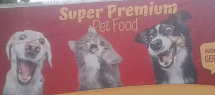 Thought These Expressions On The Billboard Ad, Resembled My Siblings Perfectly