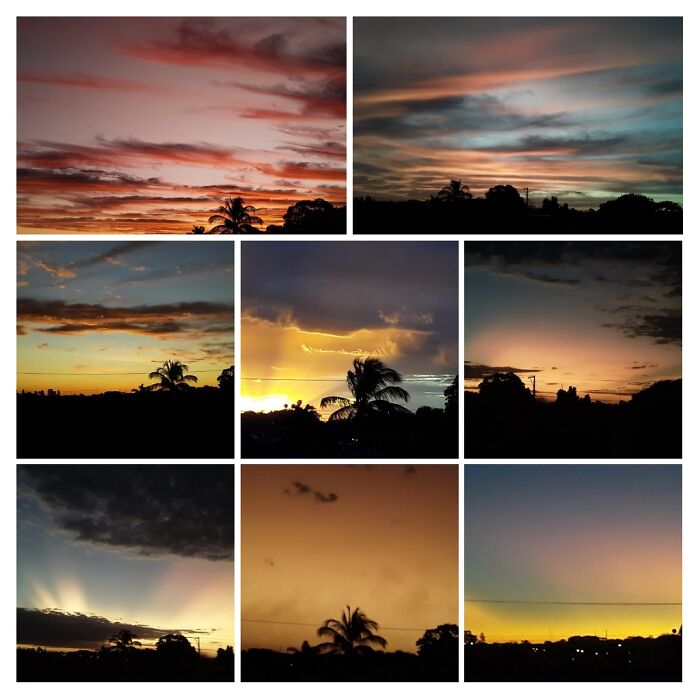 My Mom Always Sends Us From Her Backyard, Lucélia, Sp, Brazil.