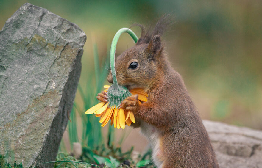 I Worked Together With A Talented Belgian Flower Artist And These Are My 15 Best Shots
