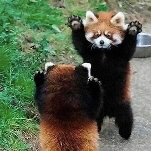 fionadrysdale1 avatar