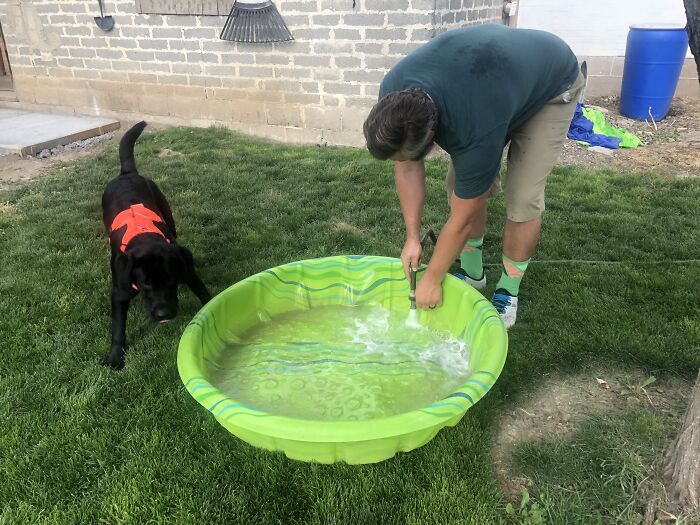 Uncle: "We Aren't Getting A Dog!" Family: *gets Dog* Uncle And Dog: