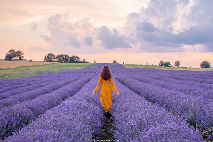 A Lavender Fairytale: 7 Photos By Me