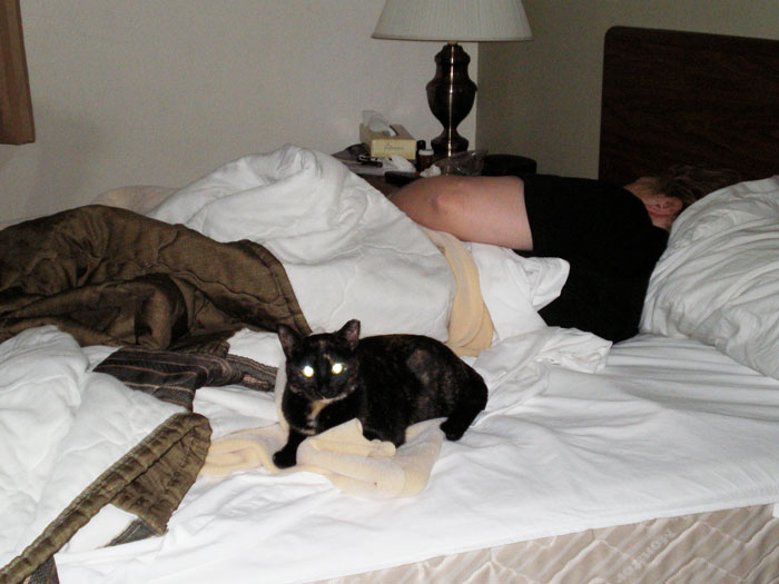 Man Gets Mad After Missing A Family Trip Because He Wasn’t Woken Up In Time, Hears The Harsh Truth About Failing To Help The Family Man Gets Mad After Missing A Family Trip Because He Wasn’t Woken Up In Time, Hears The Harsh Truth About Failing To Help The Family