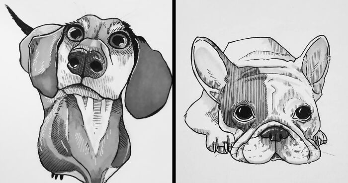 21 Dog Drawings To Give You A Smile, Inspired By A 30-Day Drawing Challenge