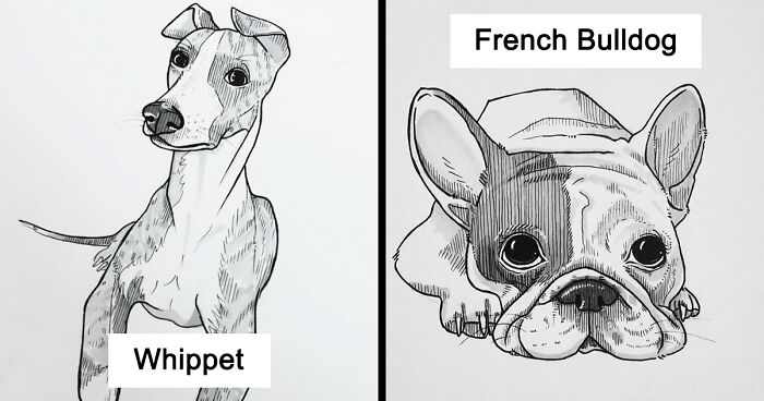 21 Dog Drawings To Give You A Smile, Inspired By A 30-Day Drawing Challenge