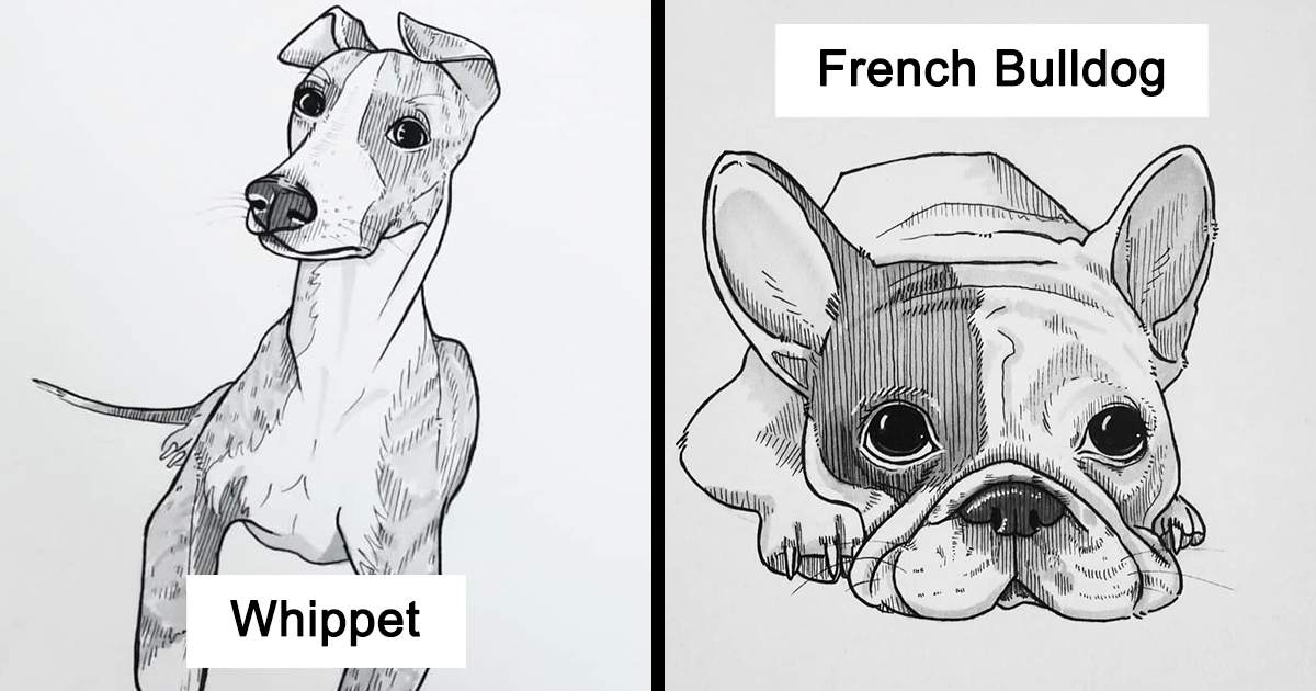 21 Dog Drawings To Give You A Smile, Inspired By A 30-Day Drawing Challenge  | Bored Panda