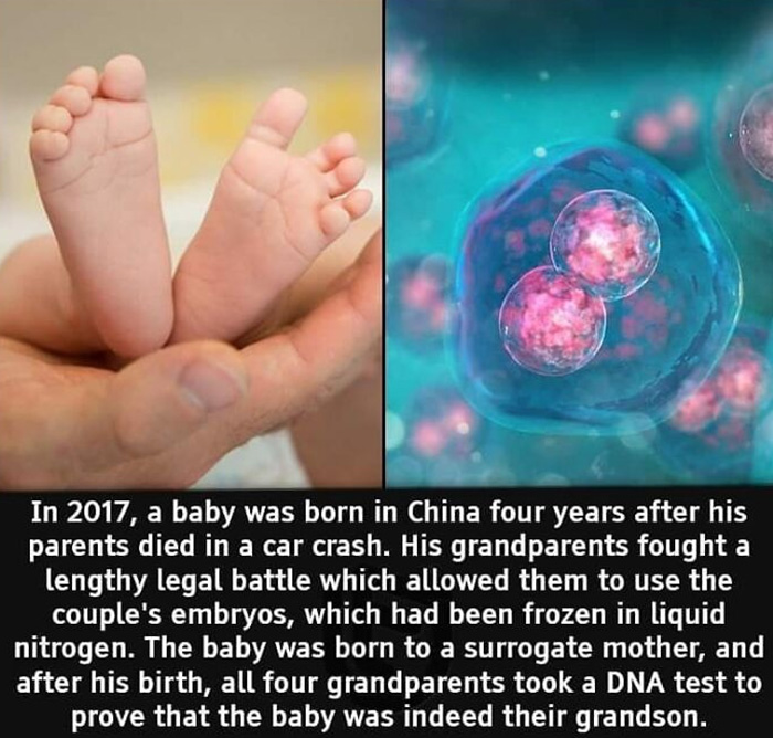 Interesting-Facts-And-Science