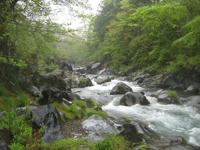 30 Wise Old Sayings That Have Totally Lost Their Meaning In The Contemporary World, As Shared By Folks In This Online Group