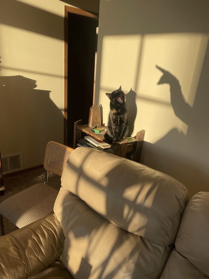 Not Impressed By My Skills