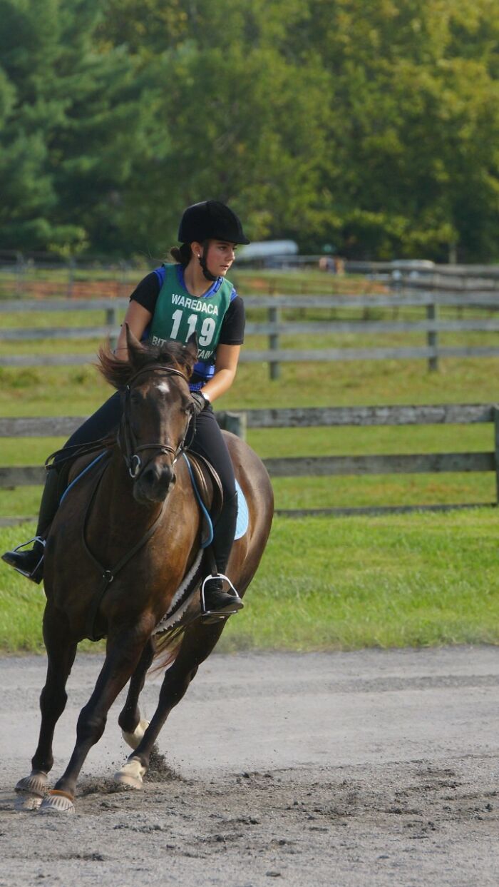 3-Day Eventing (Dressage, Cross Country, And Show Jumping)