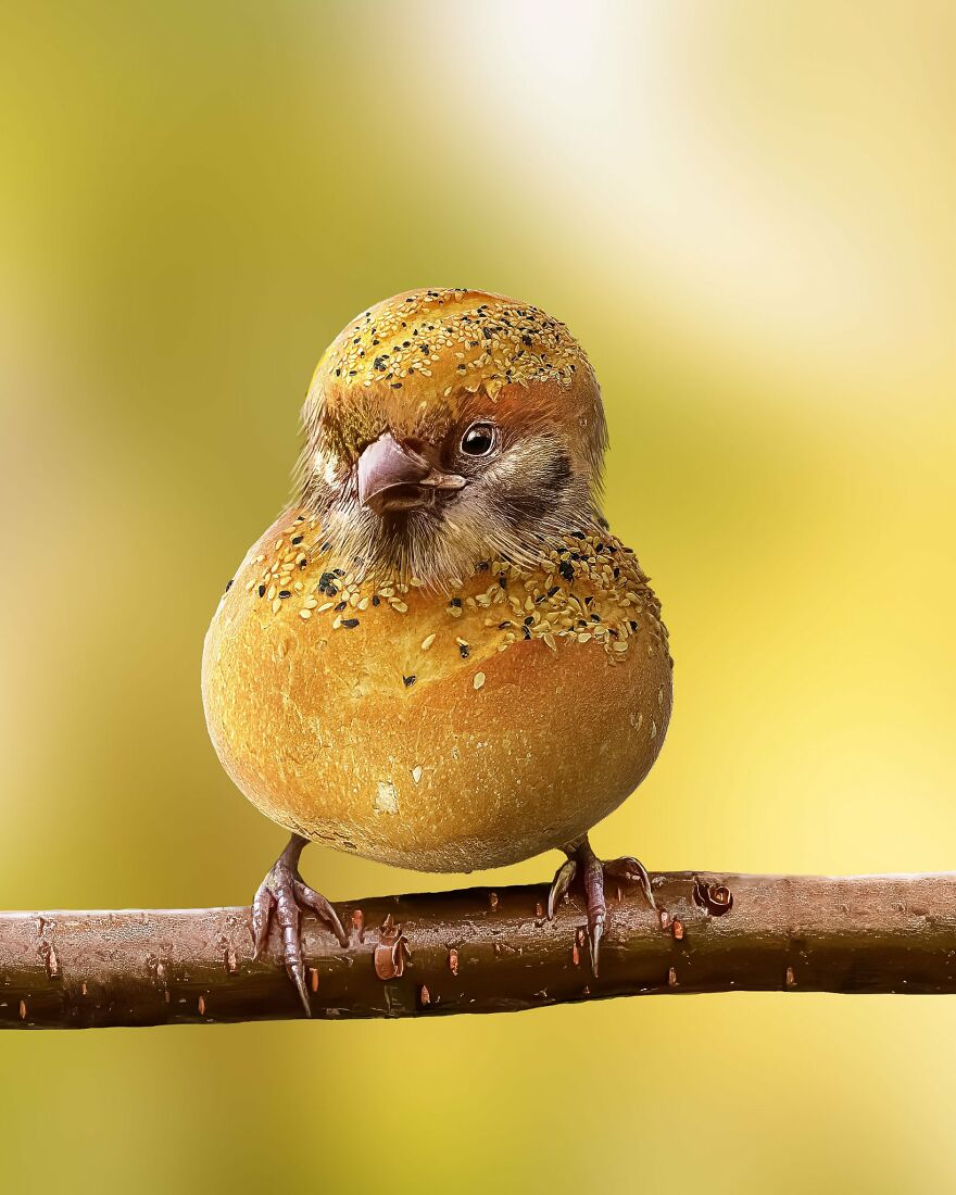 Animals Beyond Fairytale: I Make Bizarre Image Manipulations (21 Pics)