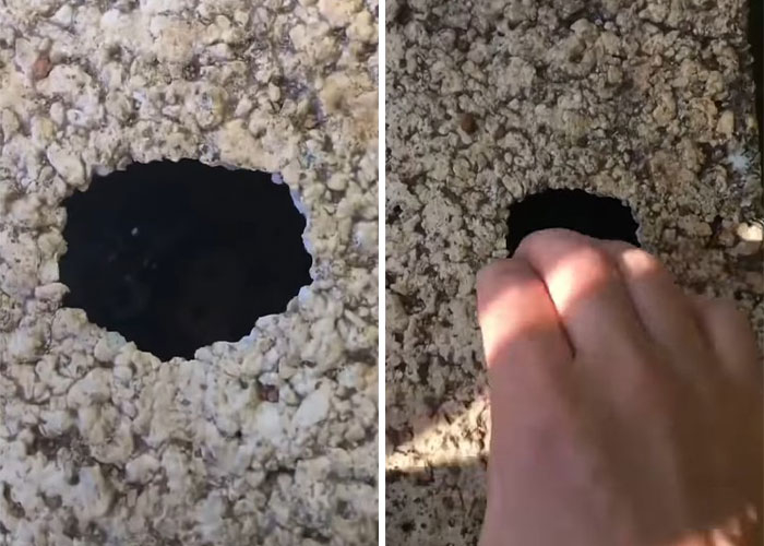 Millions Of People Rejoice At Hilarious Video Of Cat Rescuing House Keys From Hole