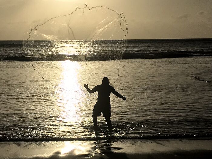 Native Hawaiian Fisherman Casting His Net.