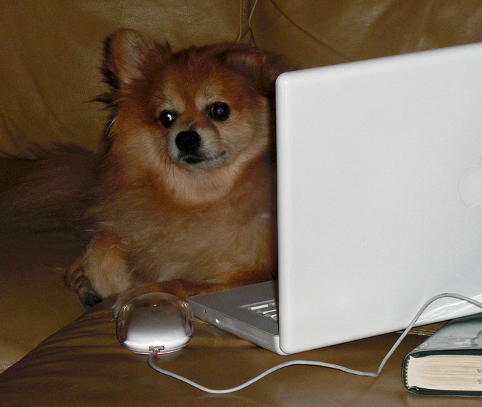 Management Brushes Off This Guy’s Concerns About A Certain Employee, So He Places Every Possible Restriction On His Computer Management Brushes Off This Guy’s Concerns About A Certain Employee, So He Places Every Possible Restriction On His Computer