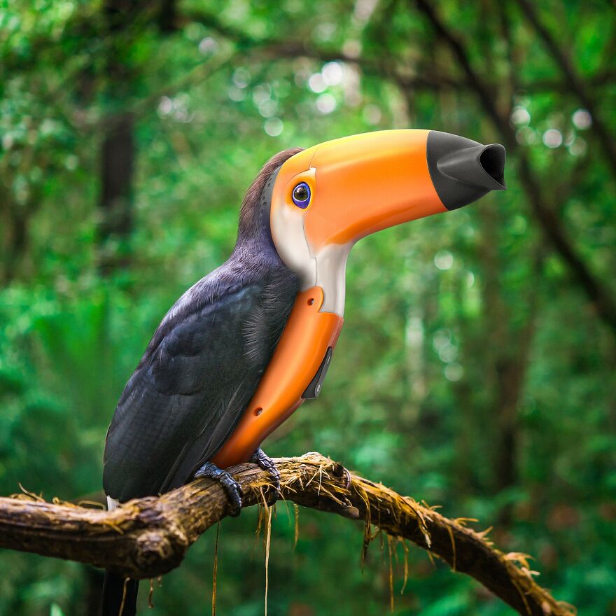 Animals Beyond Fairytale: I Make Bizarre Image Manipulations (21 Pics)