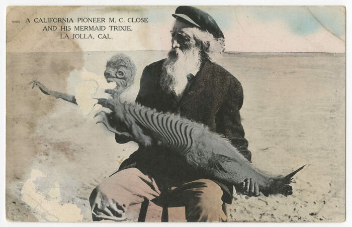 A California Pioneer M.c. Close And His Mermaid Trixie, La Jolla, California, 1910 From The Southwest Postcard Collection