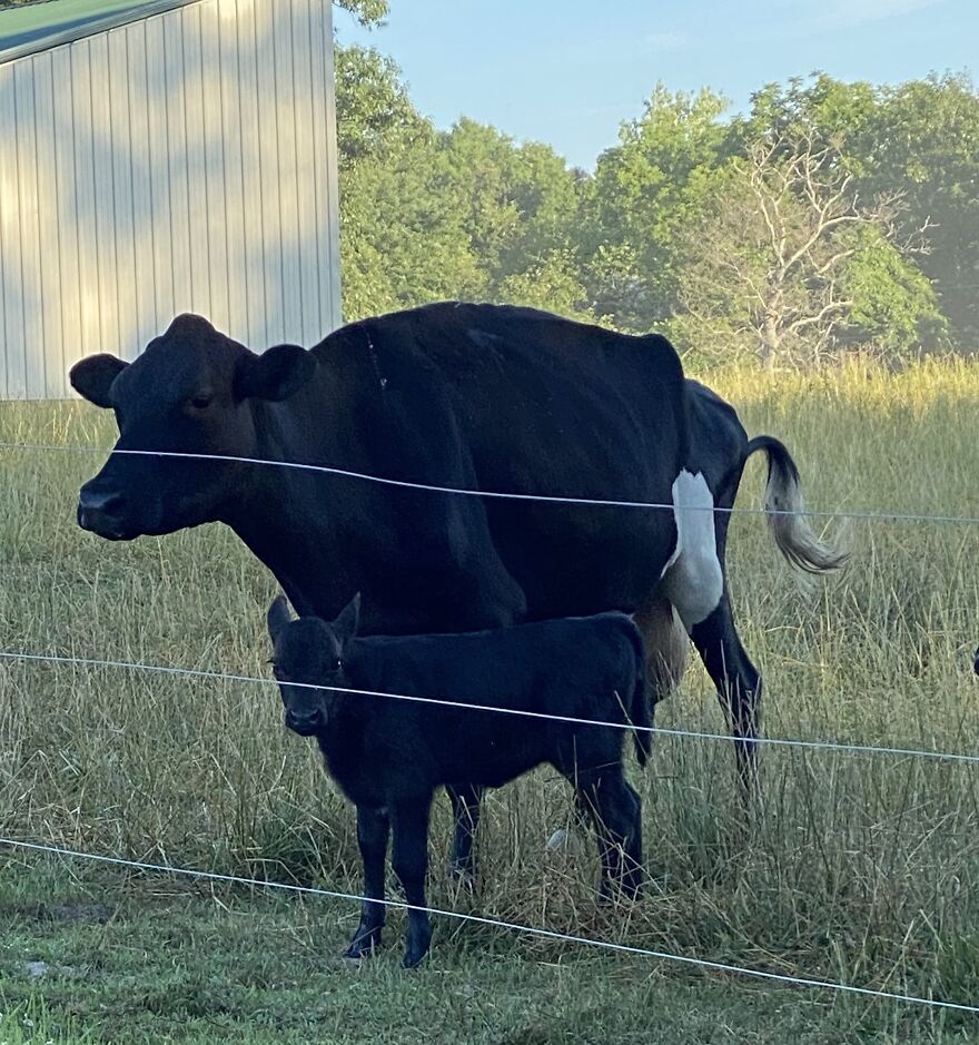 An Unexpected Wonder Was Born