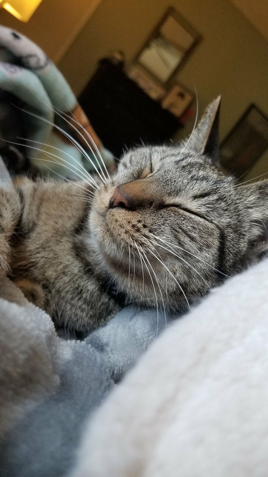 Dad Makes A Cat Bed For His Daughter's Feline From An Old TV, And It Hasn't Gone Unnoticed On The Socials Dad Makes A Cat Bed For His Daughter's Feline From An Old TV, And It Hasn't Gone Unnoticed On The Socials