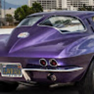 salinabrightbill avatar