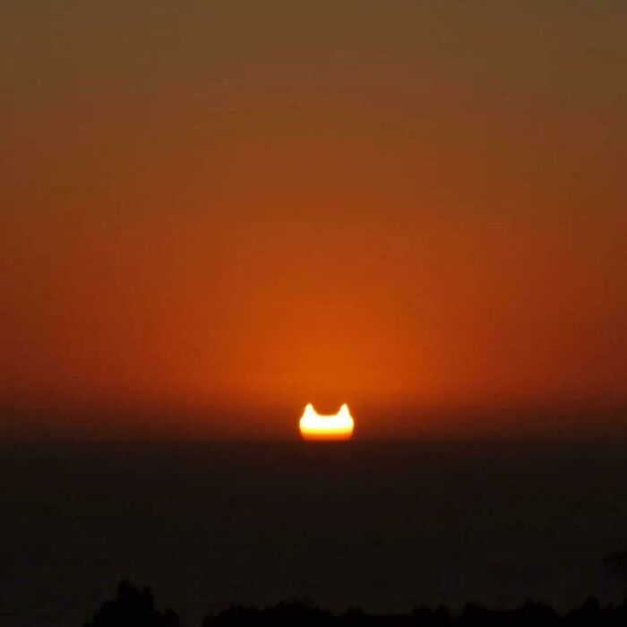 Today's Sun Eclipse As Seen At Sunset Resembled A Giant Cat's Head