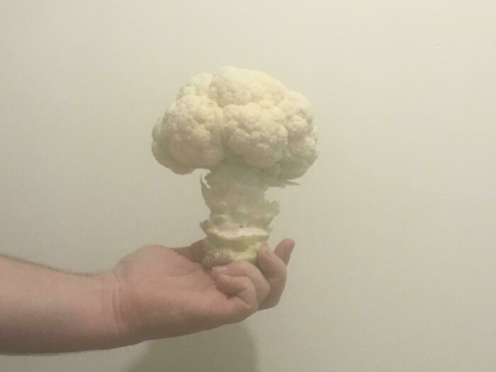 My Cauliflower Looks Like An Atomic Mushroom Cloud