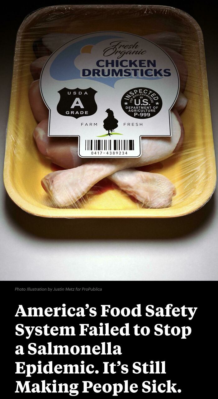This Graphic Regarding An Article On A Salmonella Epidemic