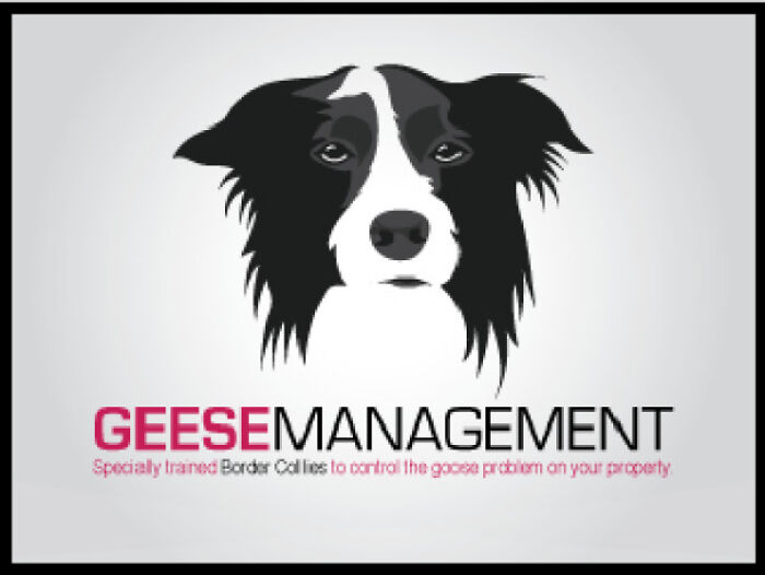 Geese Management