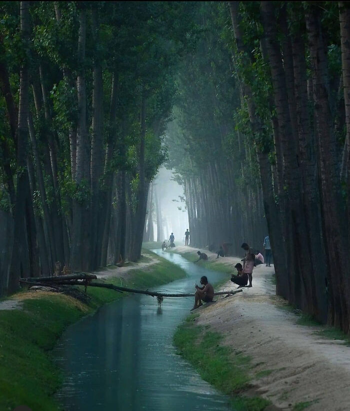 Chicos bañándose en un canal en Kashmir