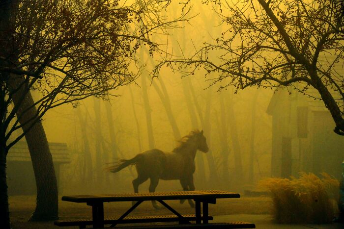 During The Colorado Marshall Fires