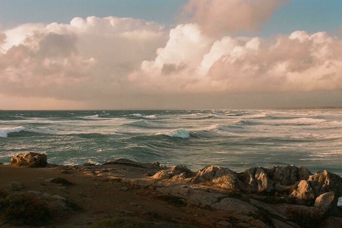 Golden Hour In France (On Film)