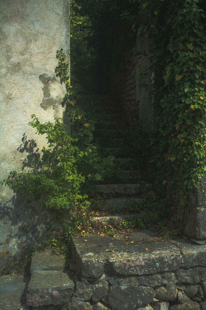 French Summer Stairs