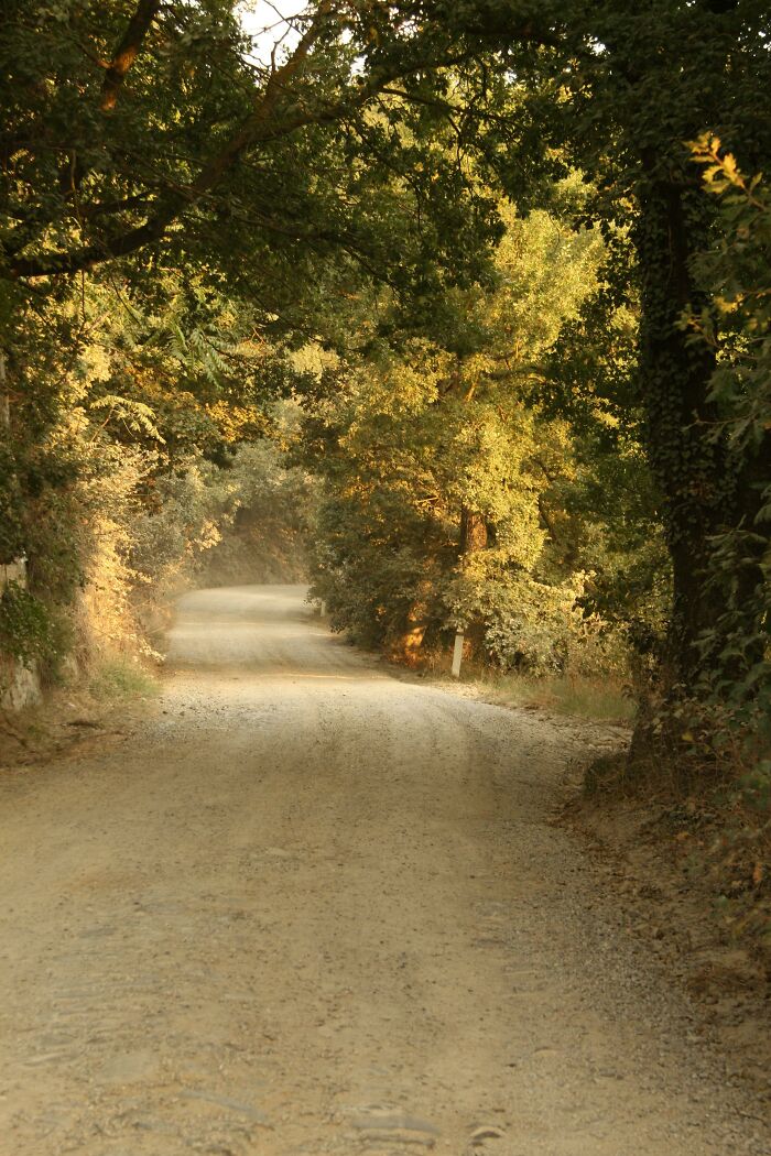 Tuscany Road