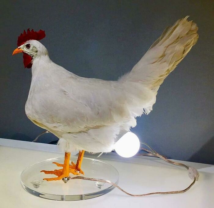 Chicken Lamp. It’s Hideous But I Want It