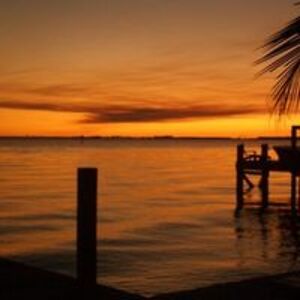 lisamariegumm avatar