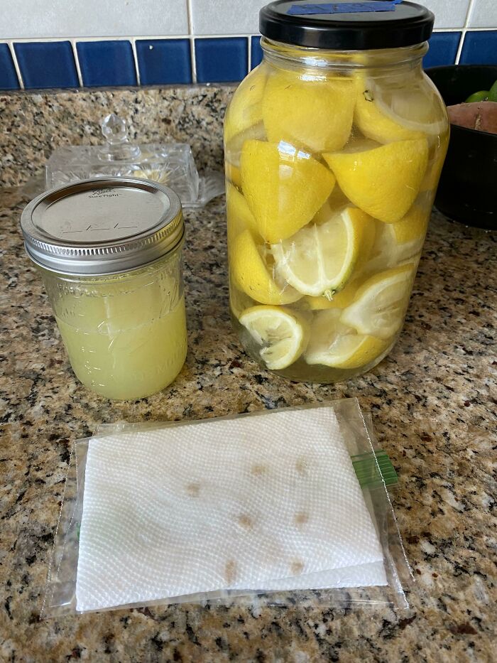 Used The Lemon Juice For Dinner, Put The Peels In Vinegar For Cleaner, And Attempting To Grow A Small Lemon Tree This Summer With The Seeds! 