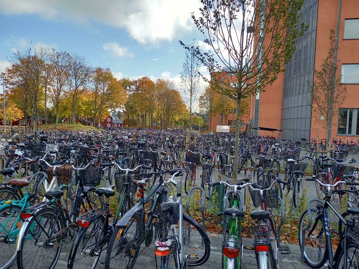 People Like Their Bikes In Uppsala, Sweden