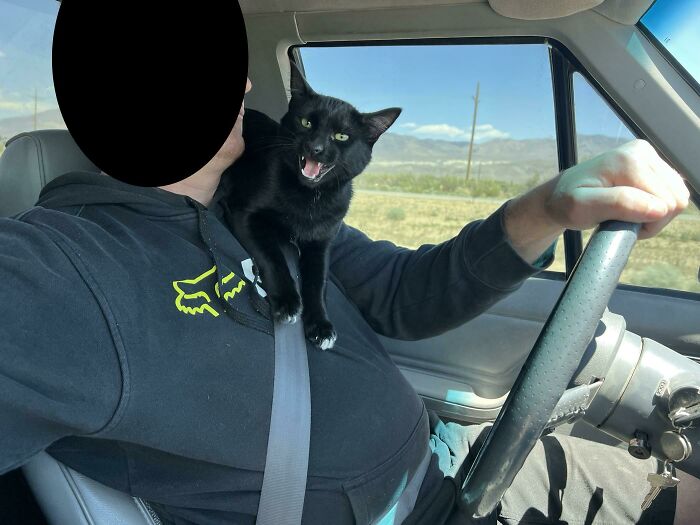 Road Trip! I Guess I Didn’t Zip His Carrier All The Way Shut