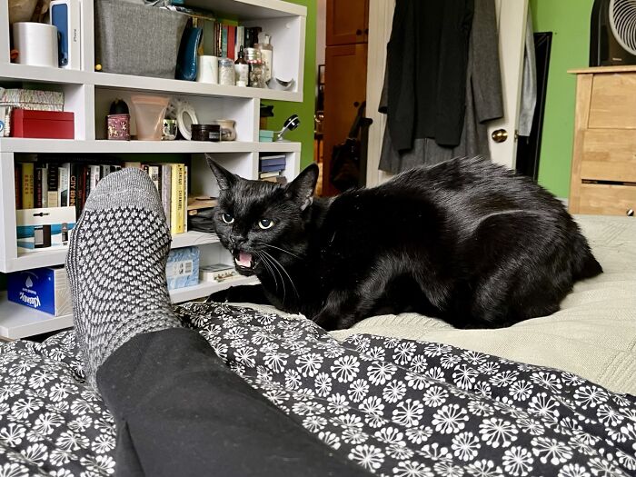 There's No Context. He's Just Yelling At My Foot