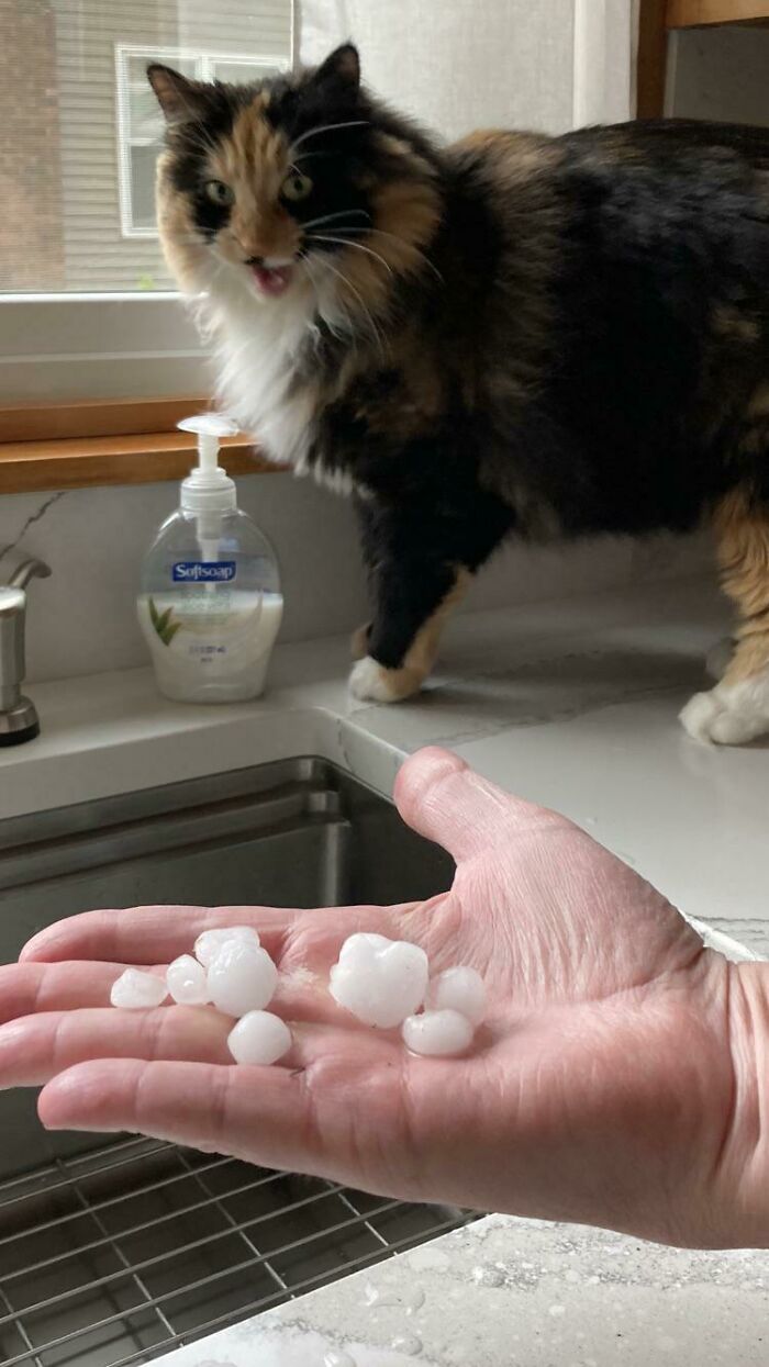 Kiki Was Shocked By The Size Of The Hail Today…
