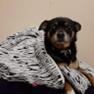 leighnaeastman avatar