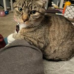 b_hardmanwright_1 avatar