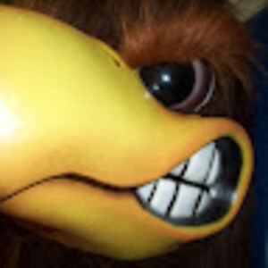 sarawilliams_5 avatar