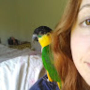 suspiciousbird avatar