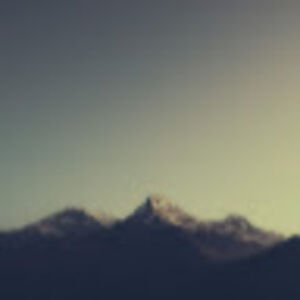 brentonnikolaus avatar