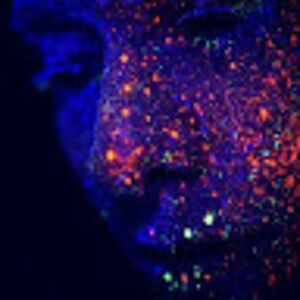 albertcabreira avatar