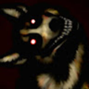 thatssofandom avatar