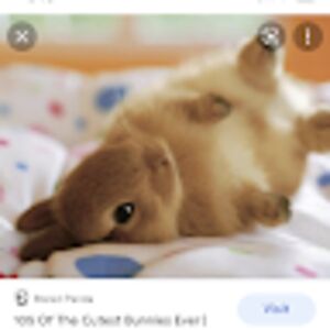 aksherapinisetti avatar