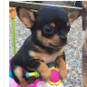 itiswhatitis_1 avatar