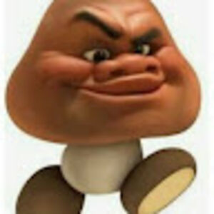 thatonedummythiccgoomba avatar